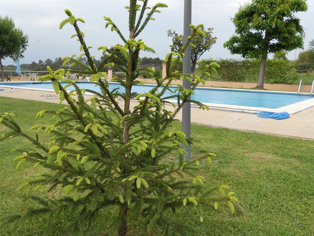 Hotel Sausa Vilafreser ภายนอก รูปภาพ